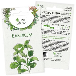enthält zwischen 1750 und 2250 Samen zertifizierte biologische Samen von Minigarden Basilikum mit großen Blättern 