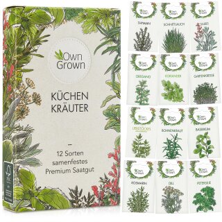 exotisches Saatgut Geschenkidee Samen für dekorative Gartenpflanze ZAHNSTOCHER