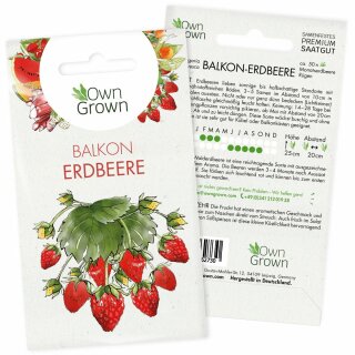 100X Erdbeere Saatgut Frucht Gemüse Samen nahrhaft Glühbirnen 9 Farben ；`., 