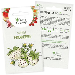 Seltene Erdbeerkiwi Samen,Raritäten Obstsamen Bio-Fruchtsamen Strawberry Kiwi organischer Frucht Samen Hausgarten Tomasa Samenhaus