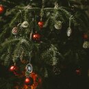 Weihnachtsbaum-Anzuchtset
