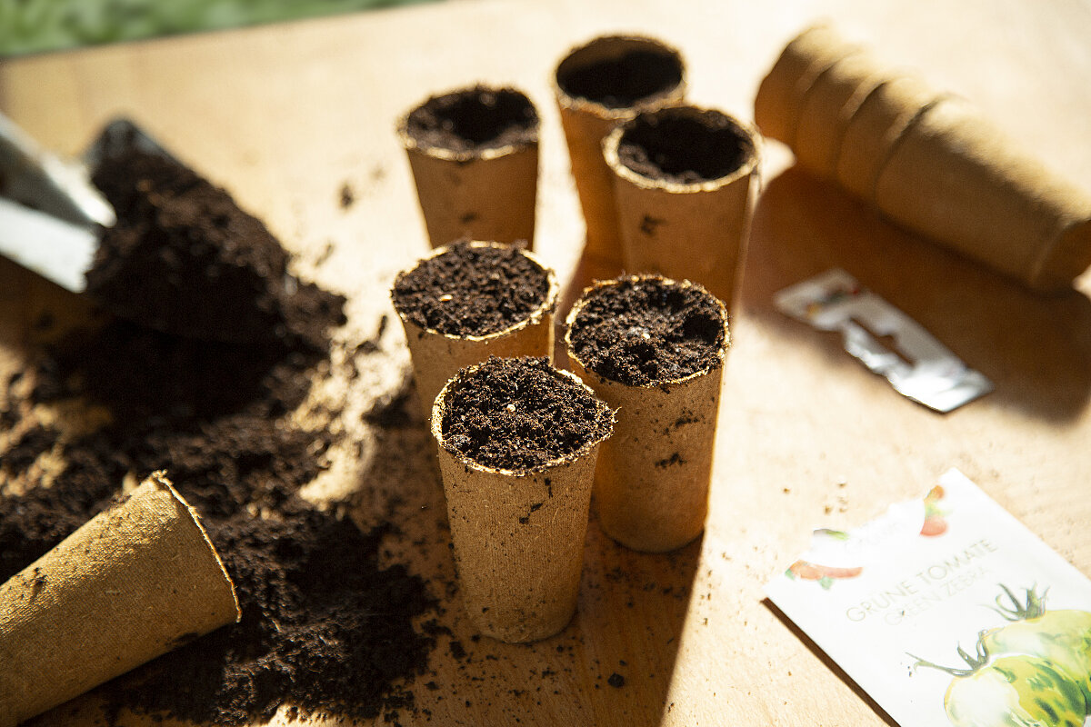 New product on offer: biodegradable growing pots